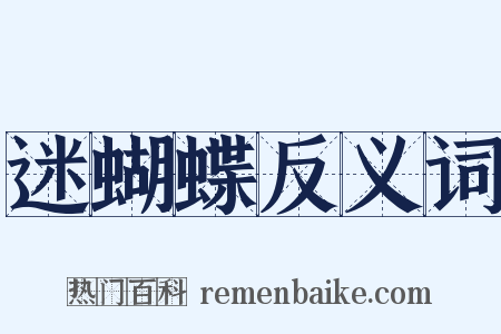 迷蝴蝶反义词是什么意思的图片